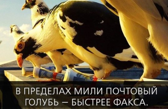 Подборка интересных фактов №3 (10 фактов)